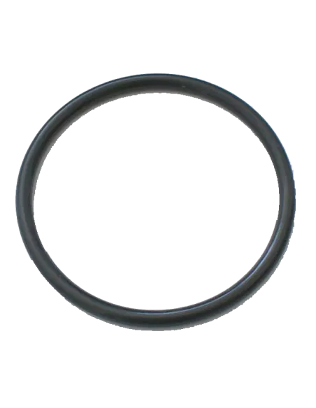 Кільце ущільнювача Raifil BFH 1 для фільтрів мішкового типу - 1