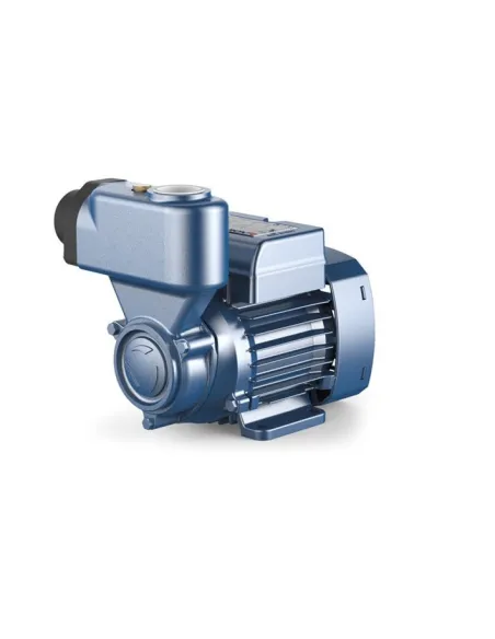 Центробежный поверхностный насос Pedrollo PKSm 65 0.5 кВт - 1