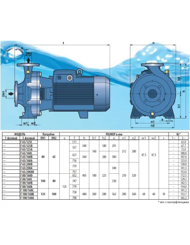 Центробежный поверхностный насос Pedrollo F 65/125C 4 кВт - 2