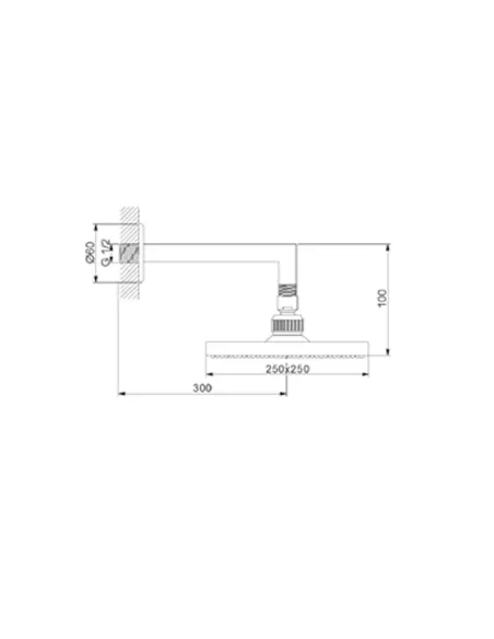 Лейка для верхнего душа Newarc Corner 470531 с настенным держателем - 2 Лейка для верхнего душа Newarc Corner 470531 с настенным держателем - 2
