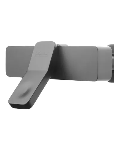 Смесители для душа наружного монтажа Asignatura Unique 85503802 черный - 2