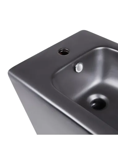 Биде напольное Q-Тap Robin Matt black QT13442141CMB 575x410x370 мм, черное - 5